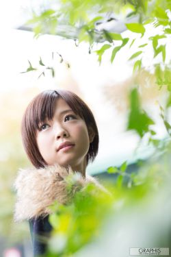 花千骨电视剧免费观看完整版高清
