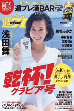 高压监狱高压法版免费