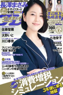 无懈可击之高手如林电视剧
