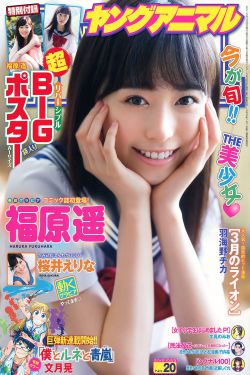 风起陇西电视剧免费观看完整版